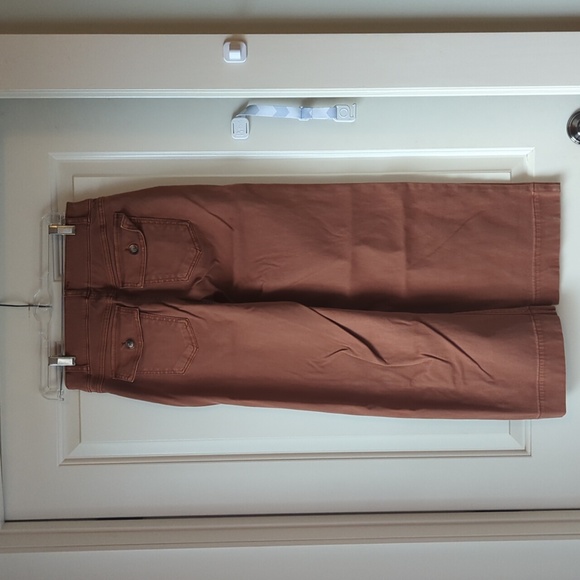 SPANX Rust Orange Pants - Picture 3 of 6